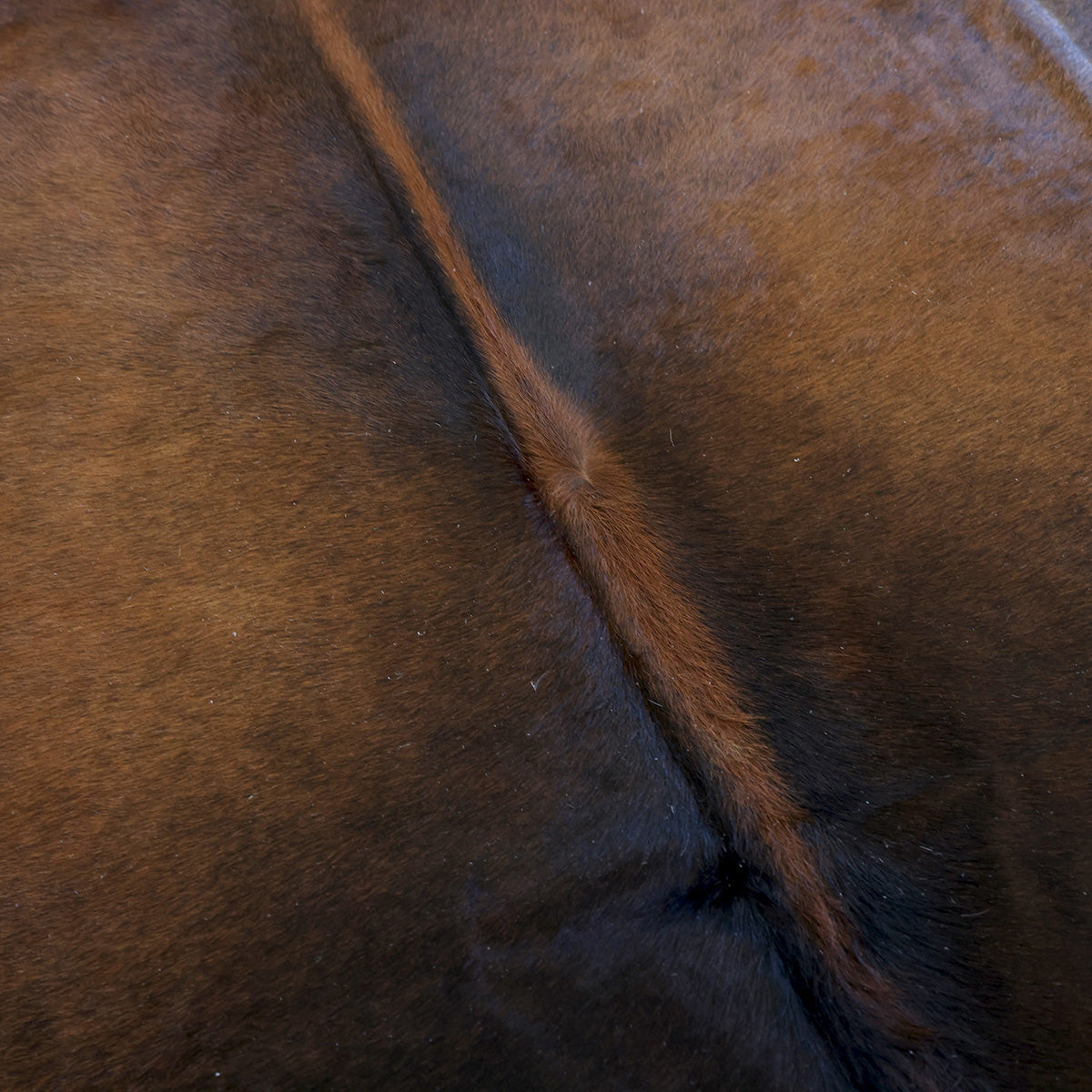 Natural Brazilian Cowhide Pattern 1165 (Dark Brown Brindle)
