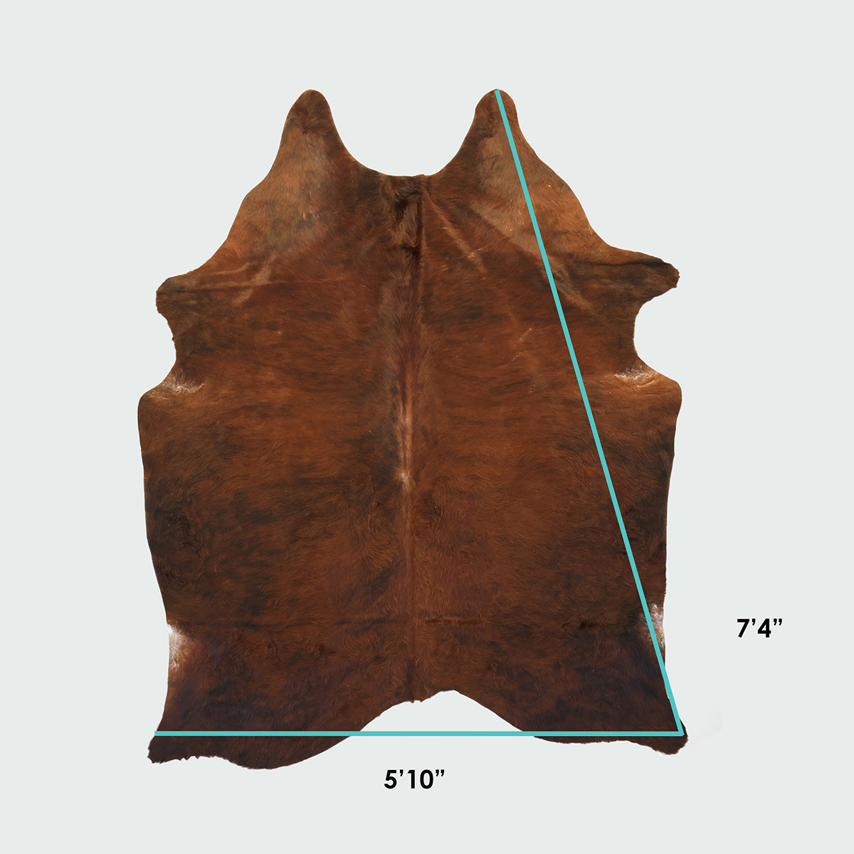 Natural Brazilian Cowhide Pattern 1168 (Dark Brown Brindle)
