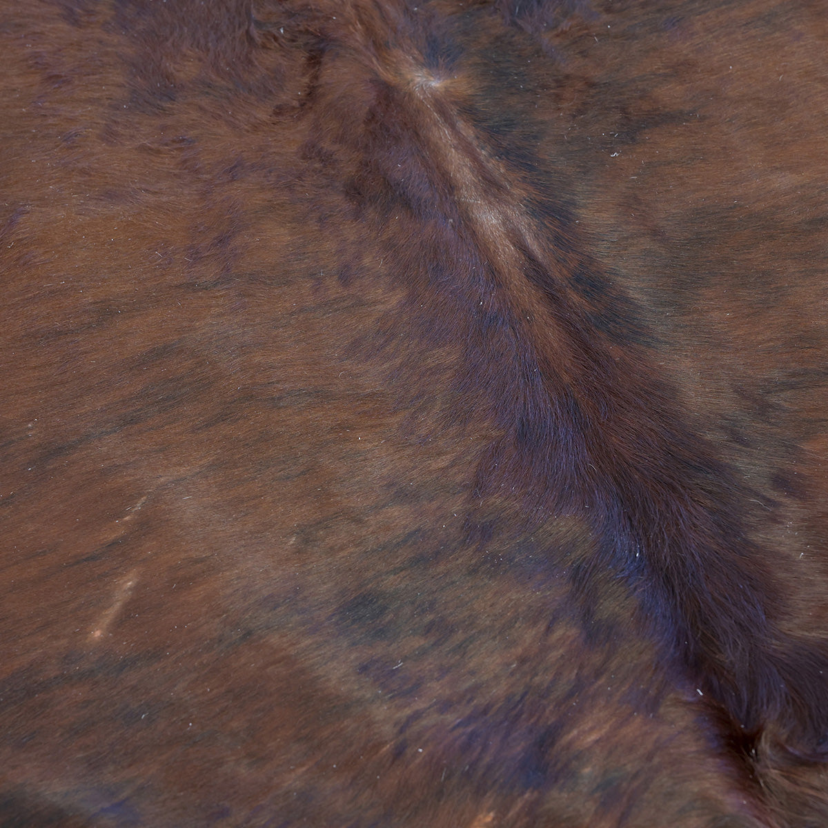 Natural Brazilian Cowhide Pattern 1168 (Dark Brown Brindle)