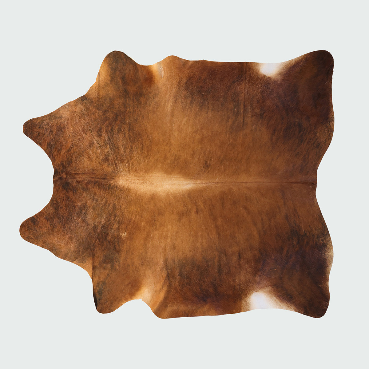 Natural Brazilian Cowhide Pattern 1170 (Golden Brown Brindle)
