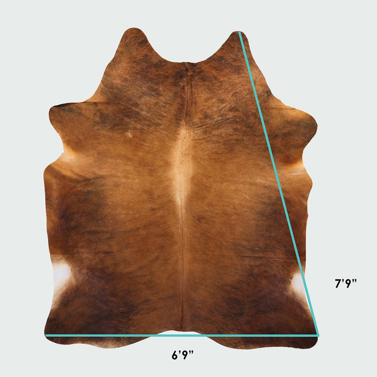 Natural Brazilian Cowhide Pattern 1170 (Golden Brown Brindle)