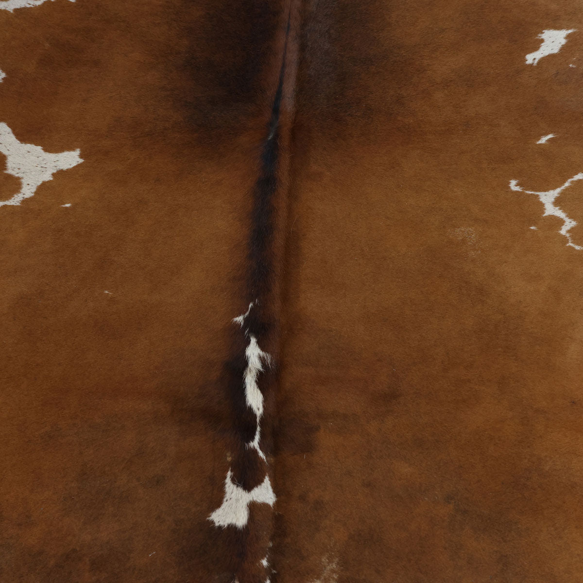 Natural Brazilian Cowhide Pattern 1110 (Golden Brown)