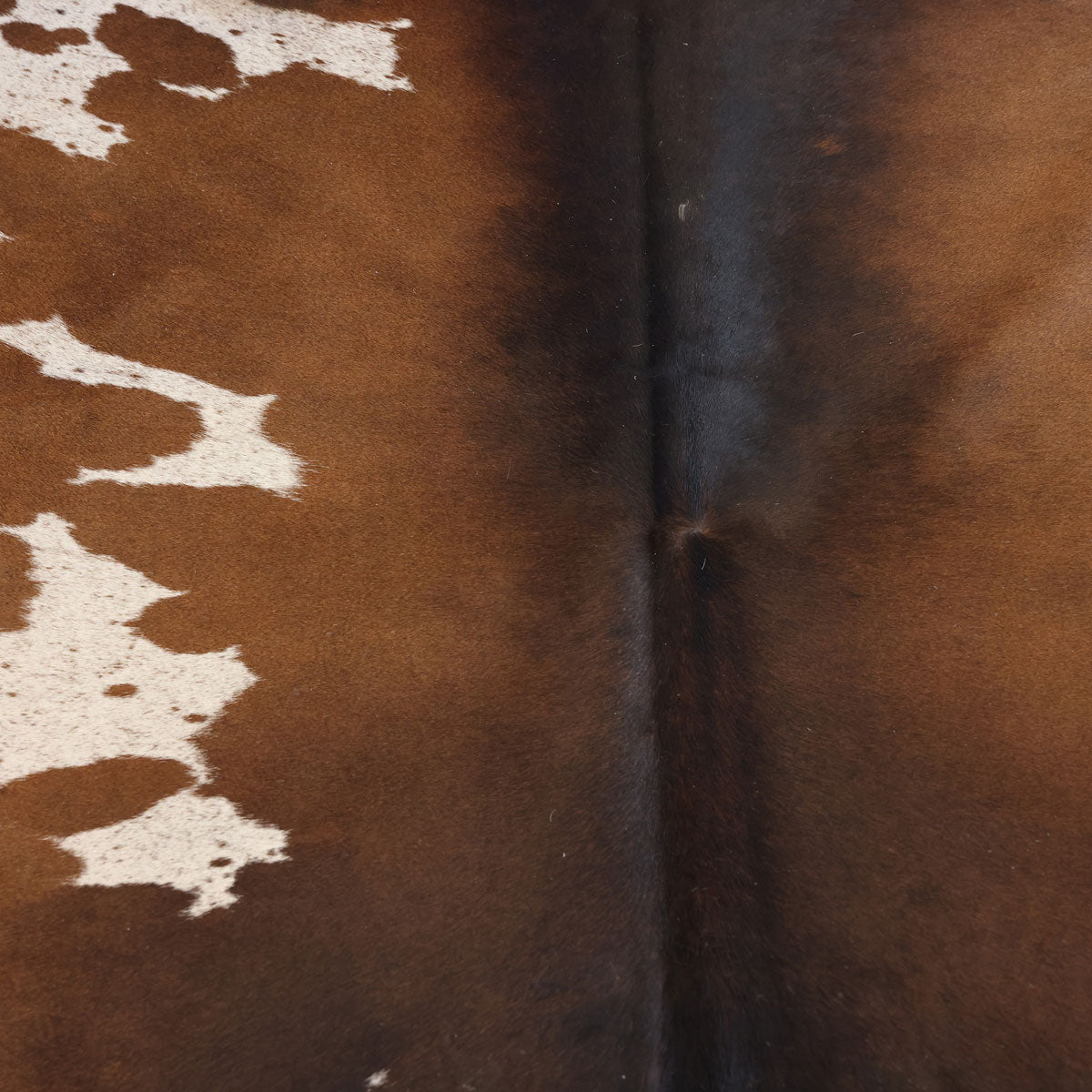 Natural Brazilian Cowhide Pattern 1115 (Golden Brown)