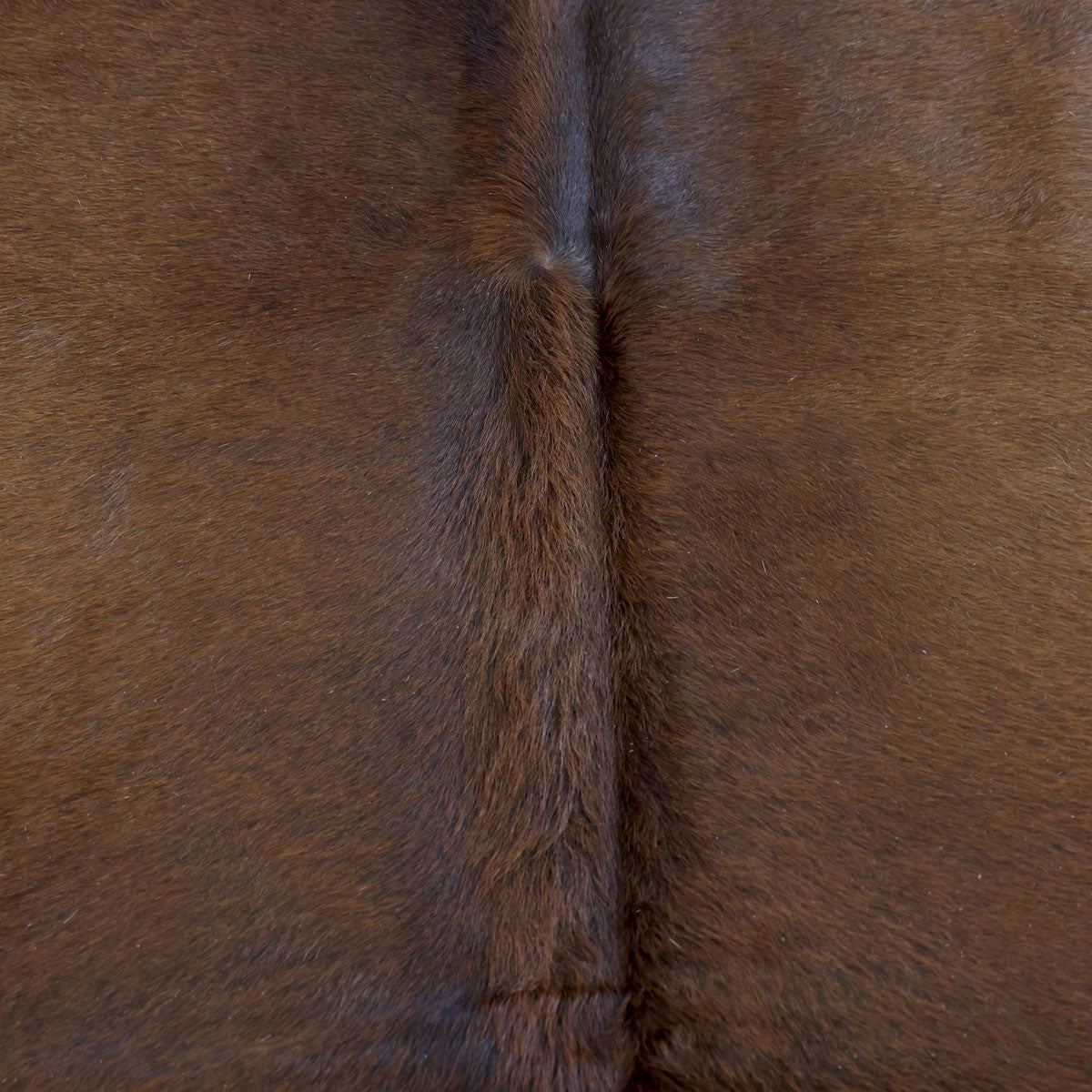 Natural Brazilian Cowhide Pattern 1116 (Golden Brown)