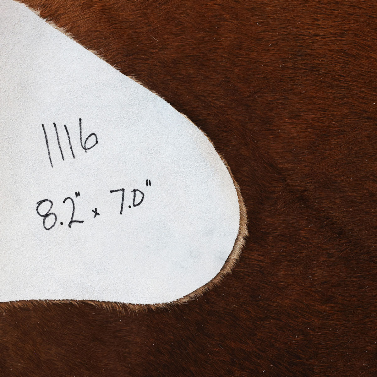 Natural Brazilian Cowhide Pattern 1116 (Golden Brown)
