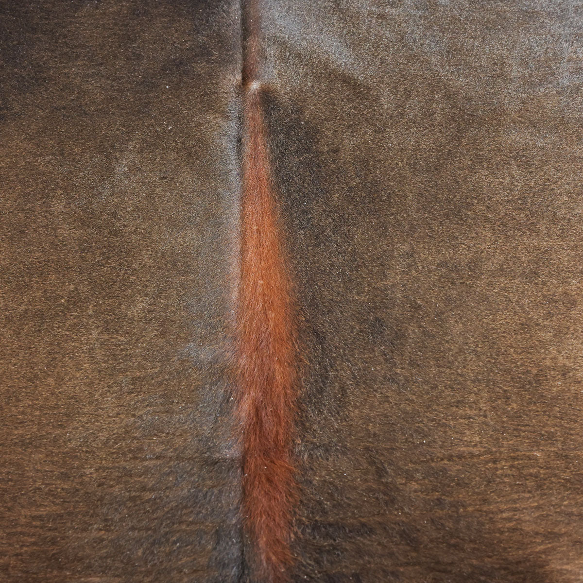 Natural Brazilian Cowhide Pattern 1118 (Golden Brown)