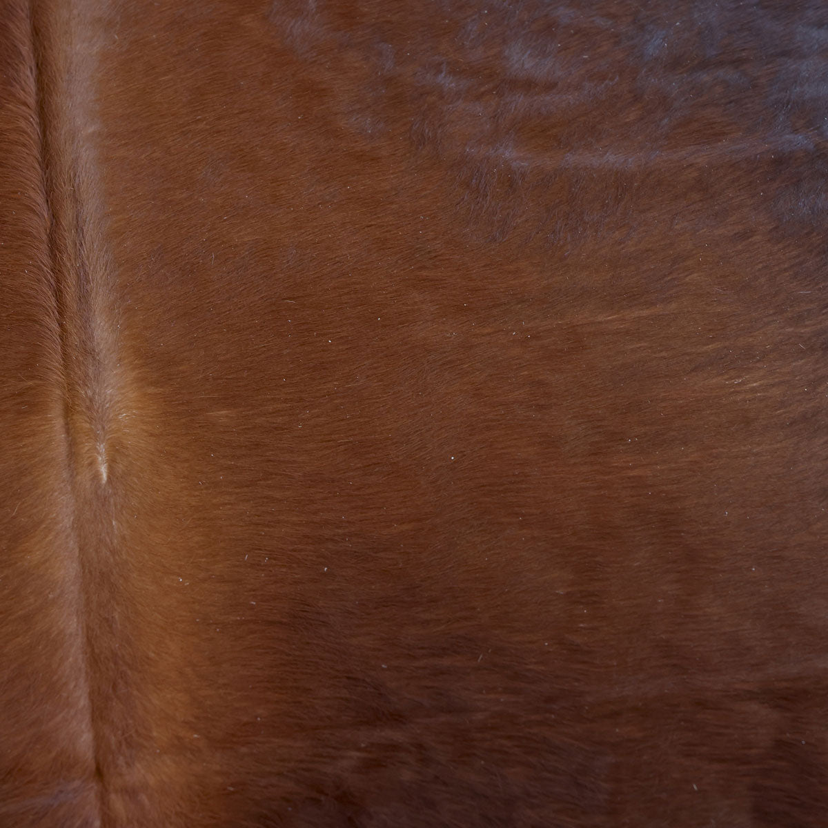 Natural Brazilian Cowhide Pattern 1120 (Golden Brown)