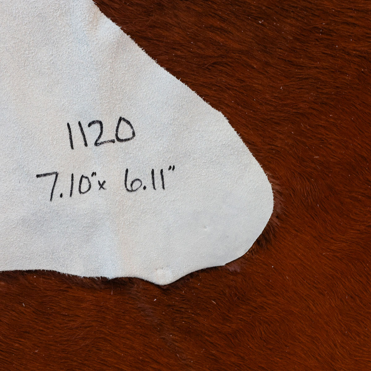 Natural Brazilian Cowhide Pattern 1120 (Golden Brown)