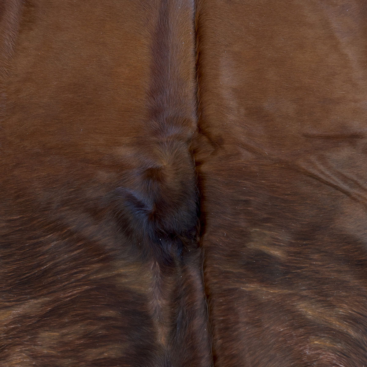 Natural Brazilian Cowhide Pattern 1121 (Golden Brown)