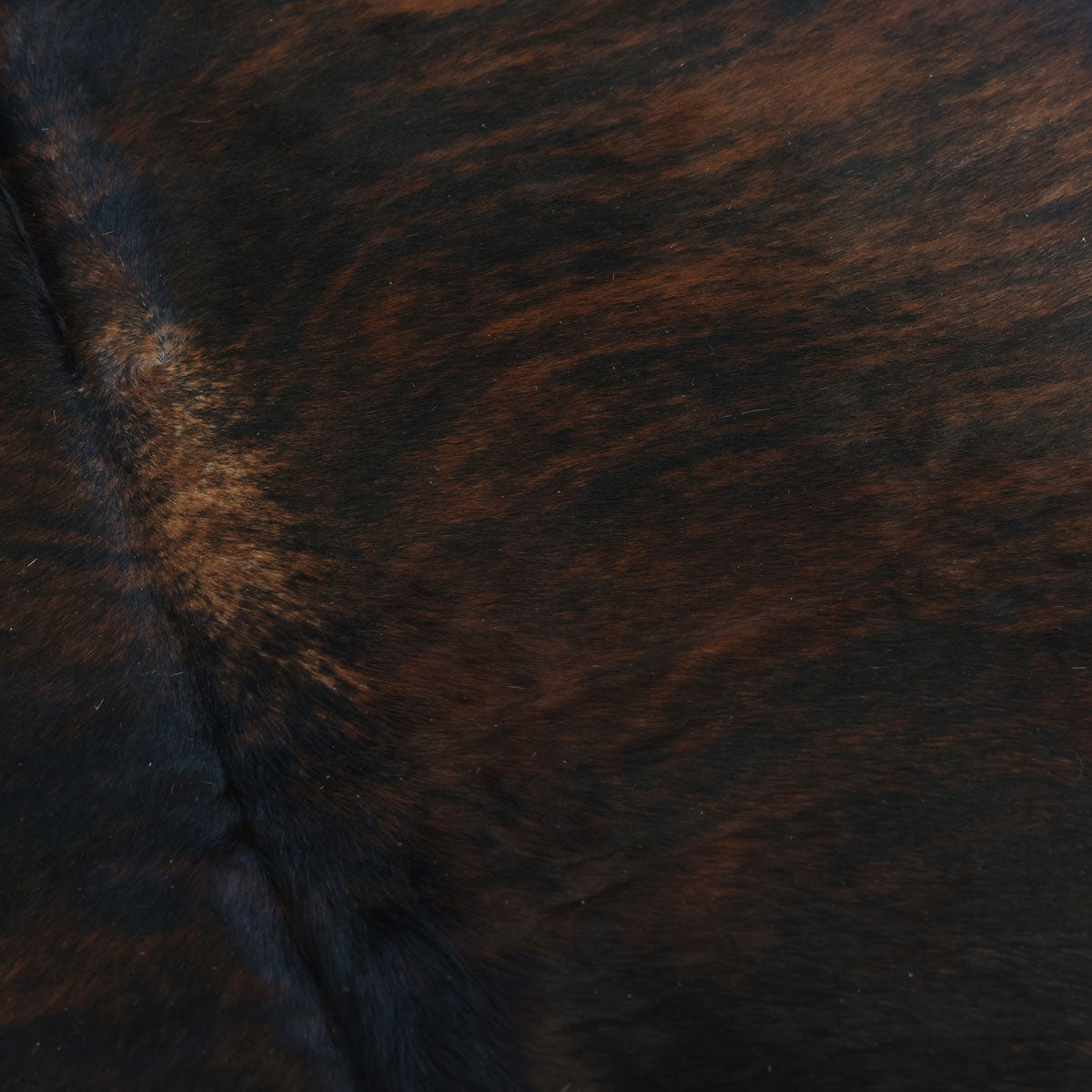 Natural Brazilian Cowhide Pattern 1124 (Golden Brown)
