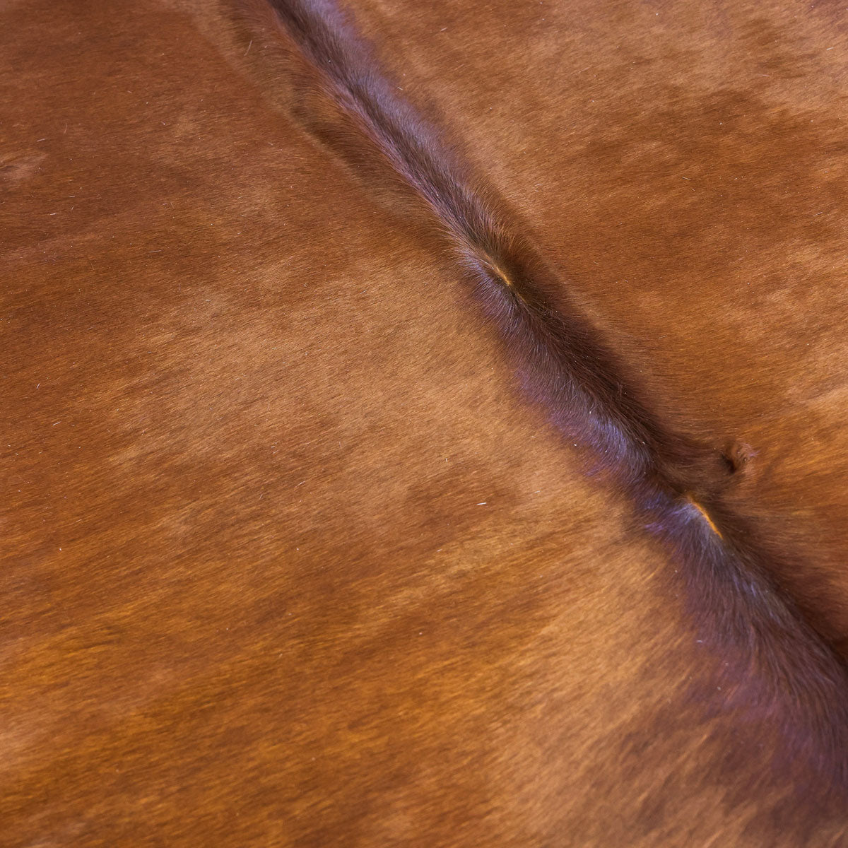 Natural Brazilian Cowhide Pattern 1135 (Dark Brown)