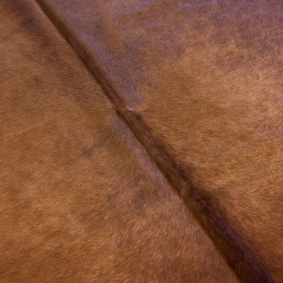 Natural Brazilian Cowhide Pattern 1136 (Dark Brown)
