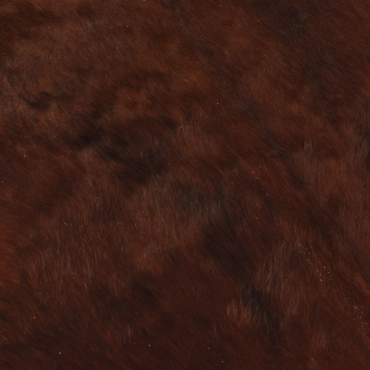Natural Brazilian Cowhide Pattern 1137 (Dark Brown)