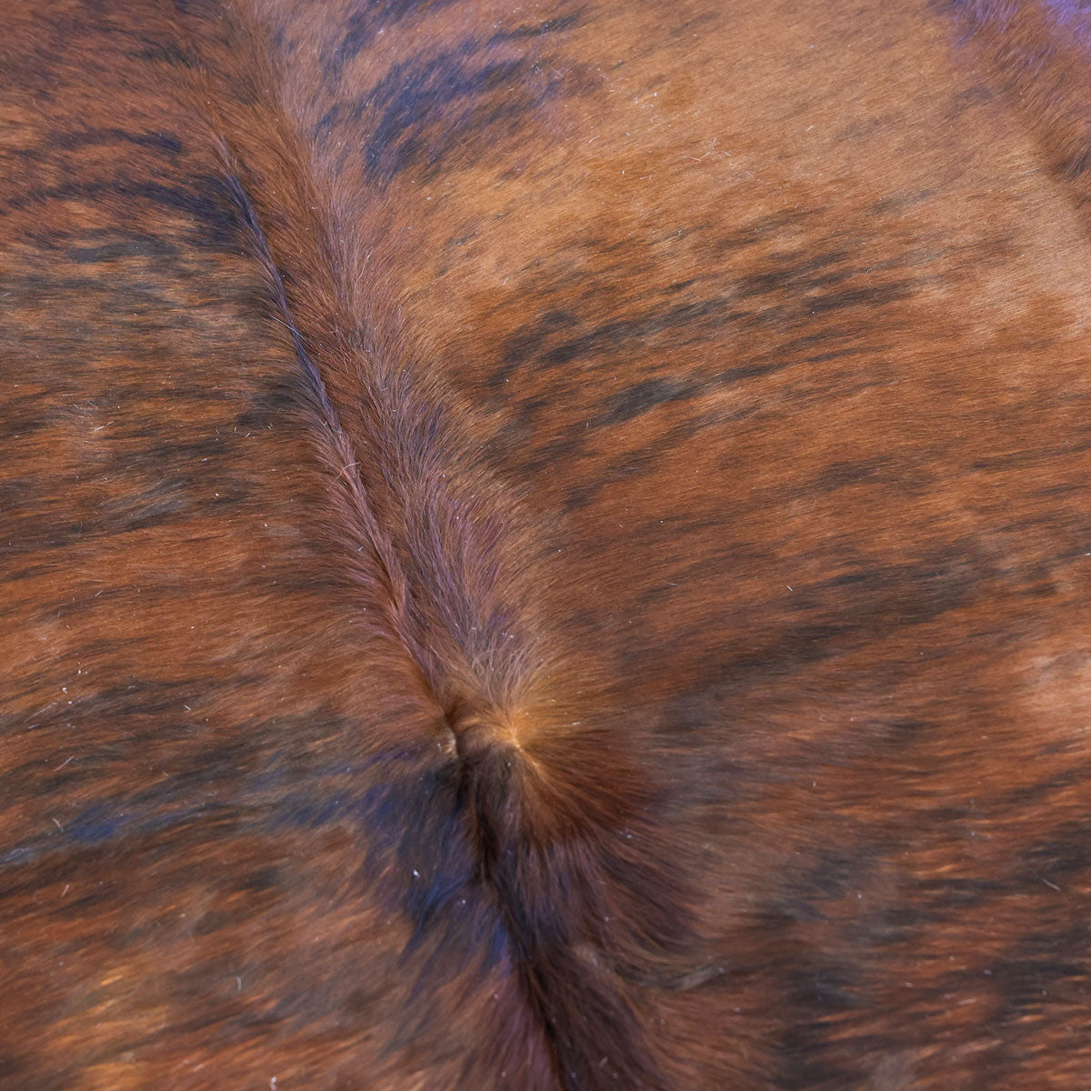 Natural Brazilian Cowhide Pattern 1140 (Dark Brown)