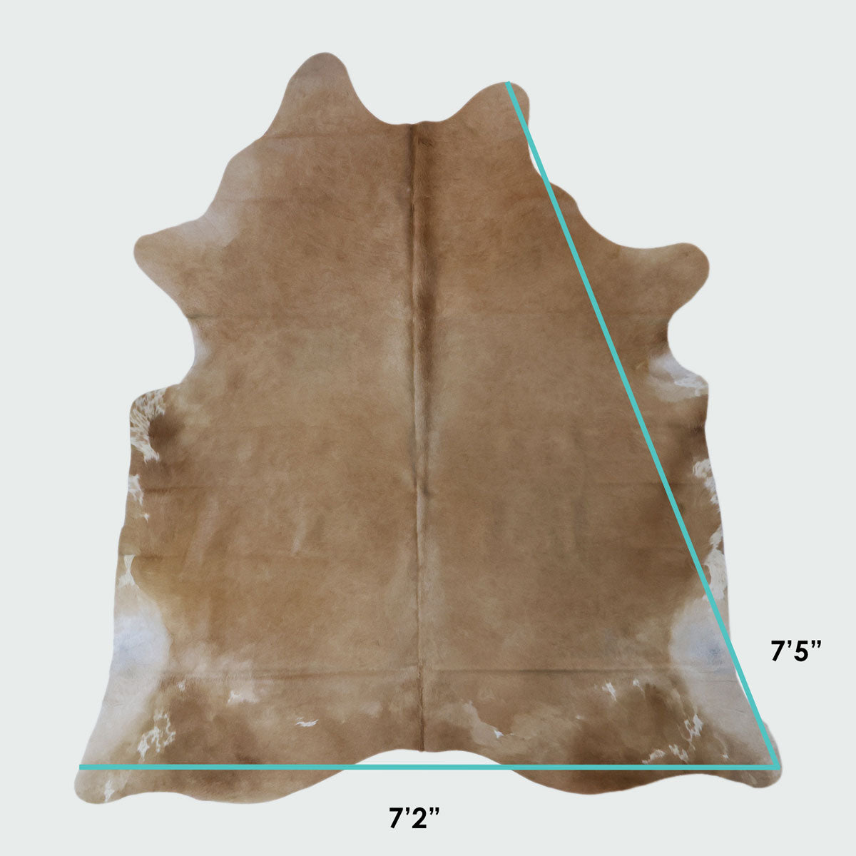 Natural Brazilian Cowhide Pattern 1144 (Golden Champagne)