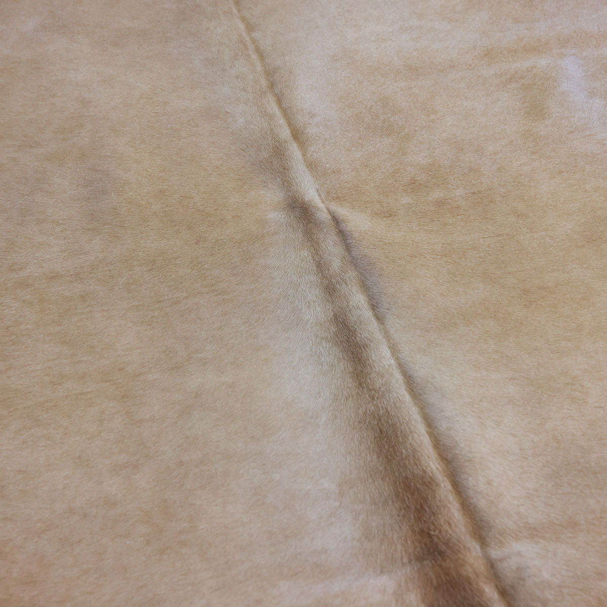 Natural Brazilian Cowhide Pattern 1144 (Golden Champagne)