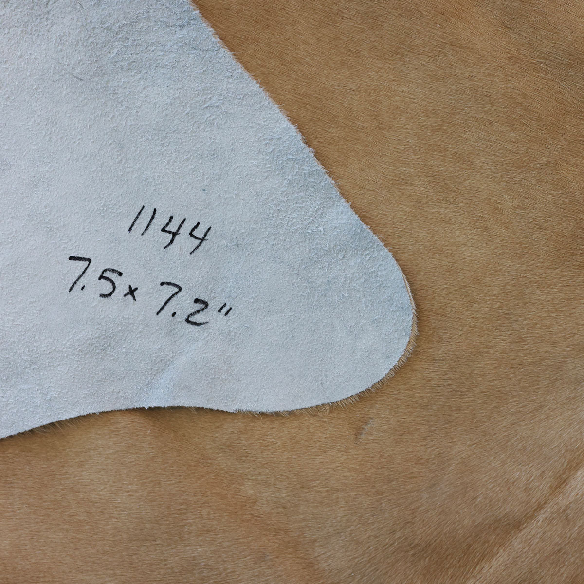 Natural Brazilian Cowhide Pattern 1144 (Golden Champagne)