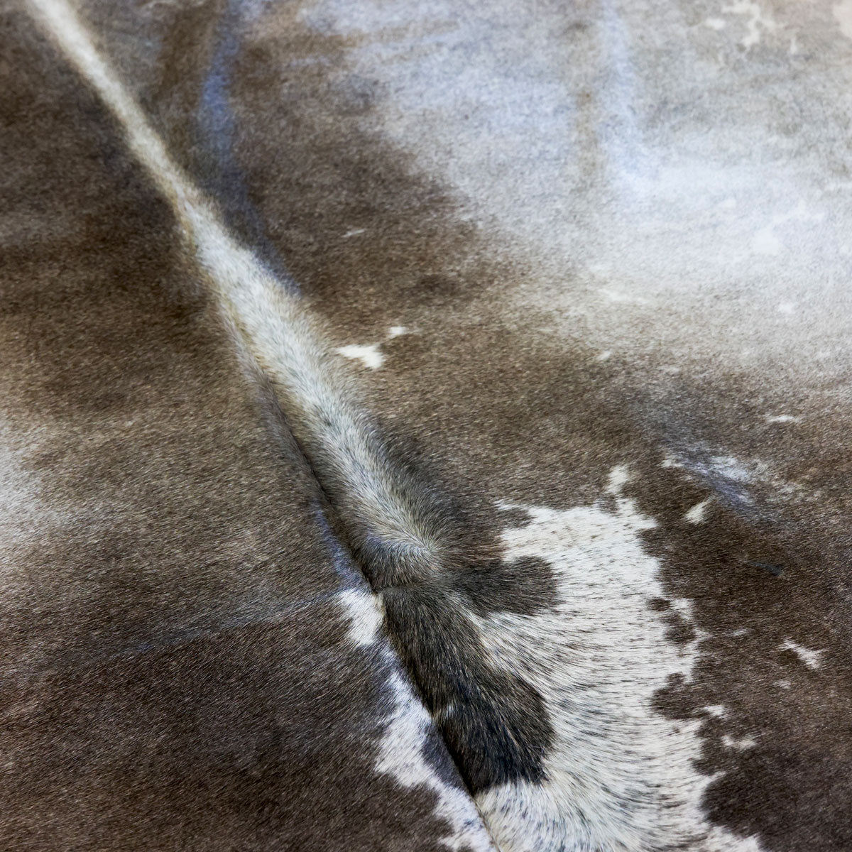 Natural Brazilian Cowhide Pattern 1145 (Golden Champagne)