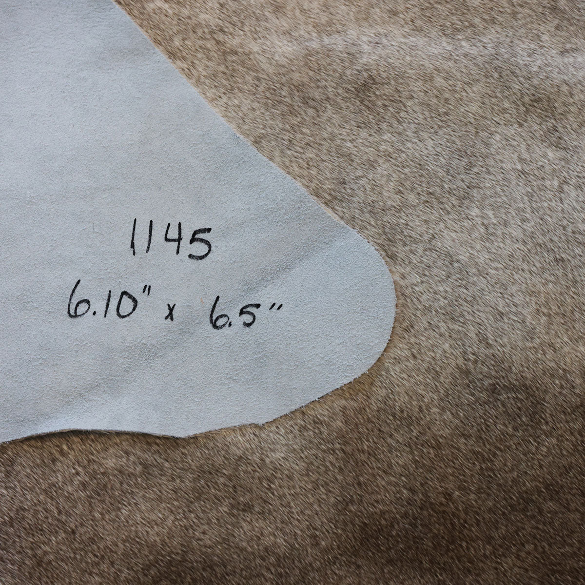 Natural Brazilian Cowhide Pattern 1145 (Golden Champagne)