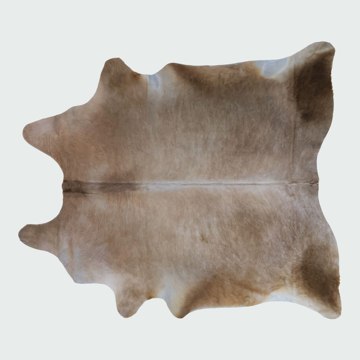 Natural Brazilian Cowhide Pattern 1146 (Golden Champagne)