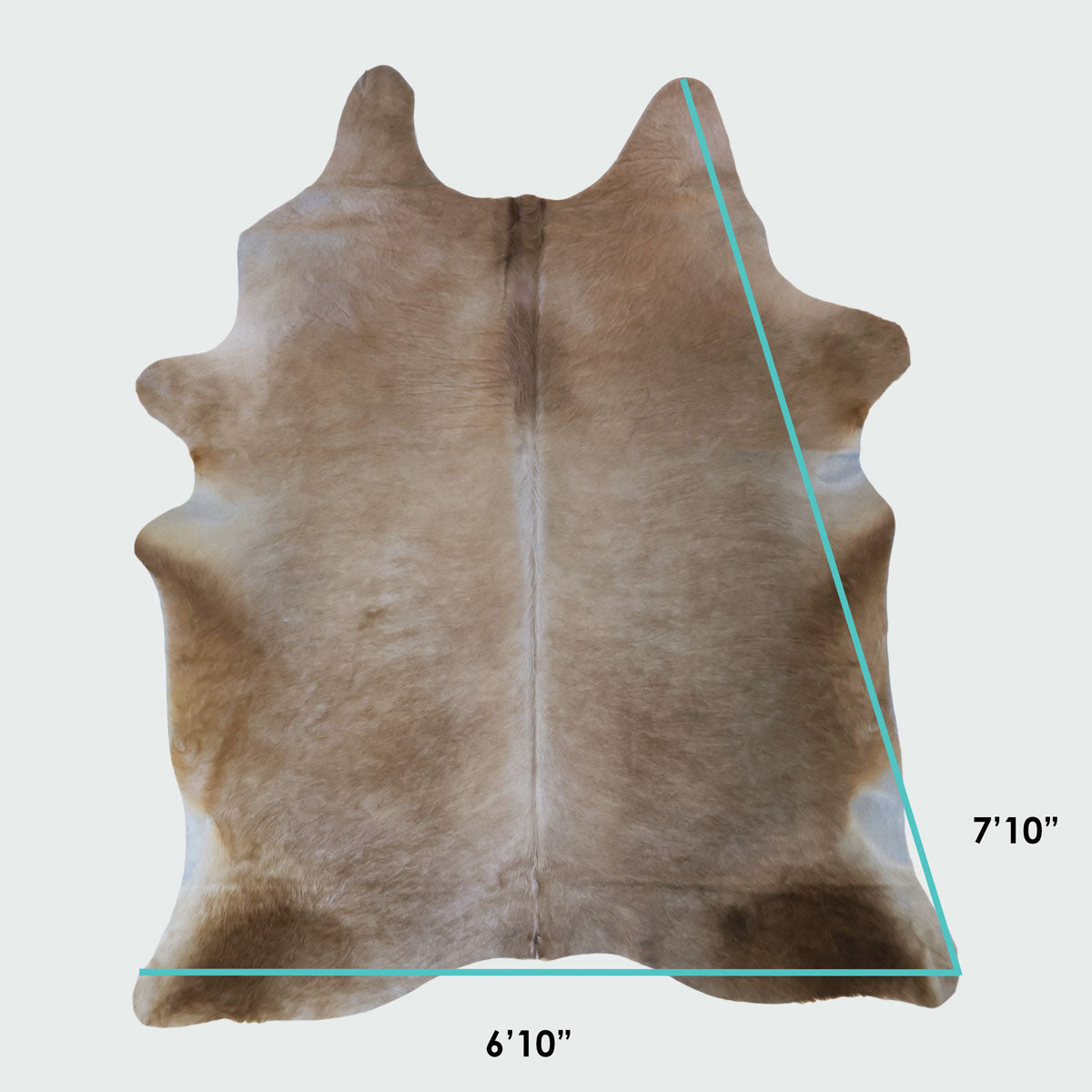 Natural Brazilian Cowhide Pattern 1146 (Golden Champagne)