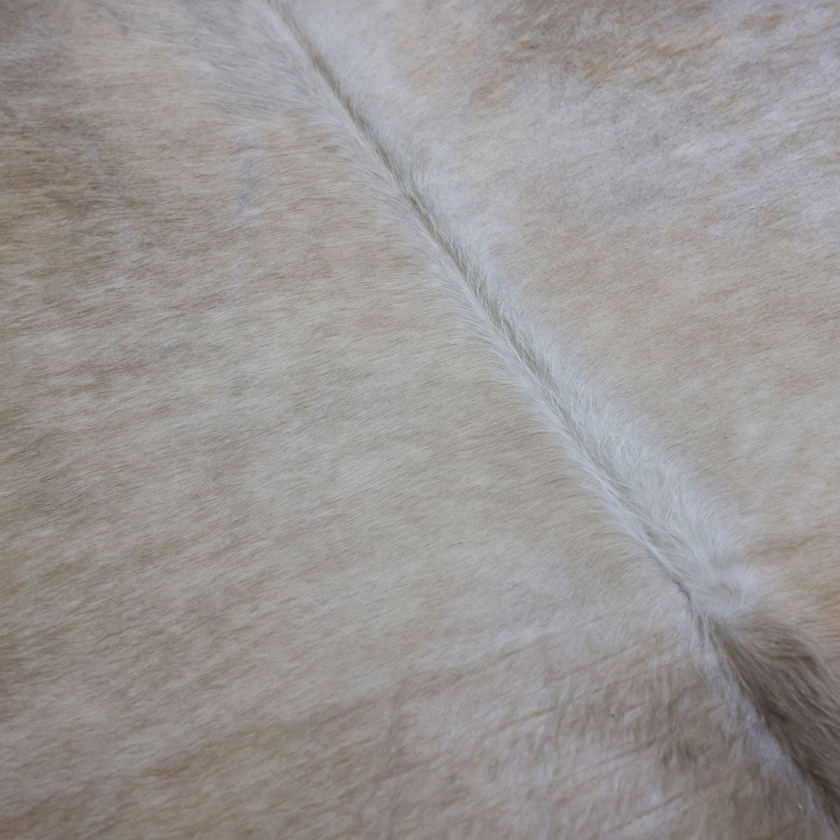 Natural Brazilian Cowhide Pattern 1146 (Golden Champagne)