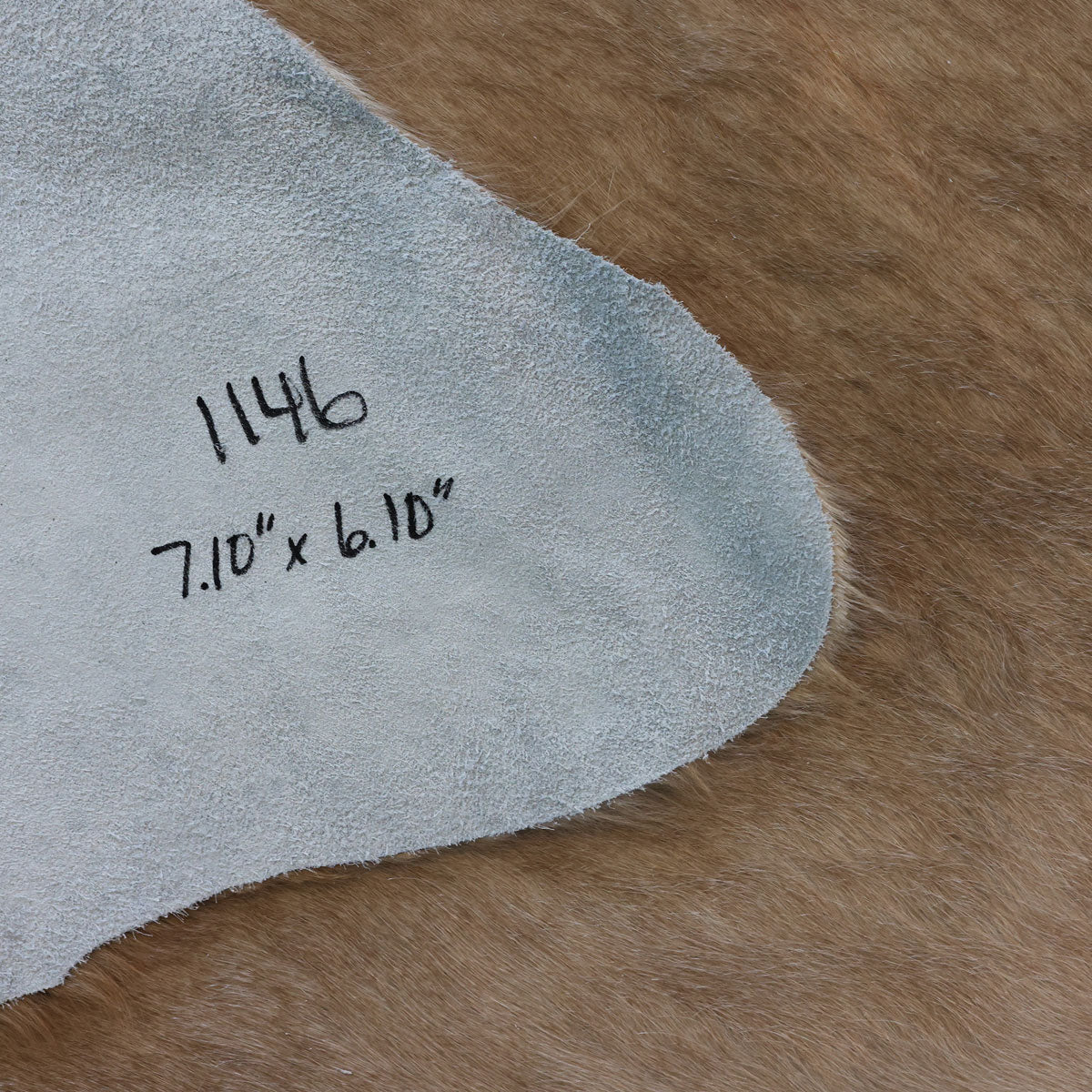 Natural Brazilian Cowhide Pattern 1146 (Golden Champagne)