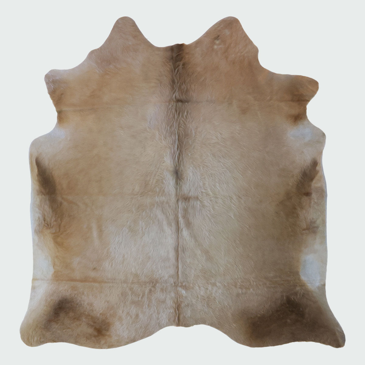 Natural Brazilian Cowhide Pattern 1147 (Golden Champagne)