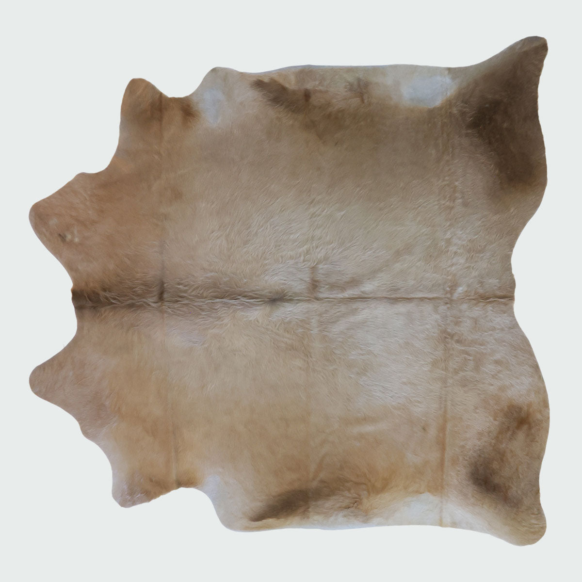 Natural Brazilian Cowhide Pattern 1147 (Golden Champagne)