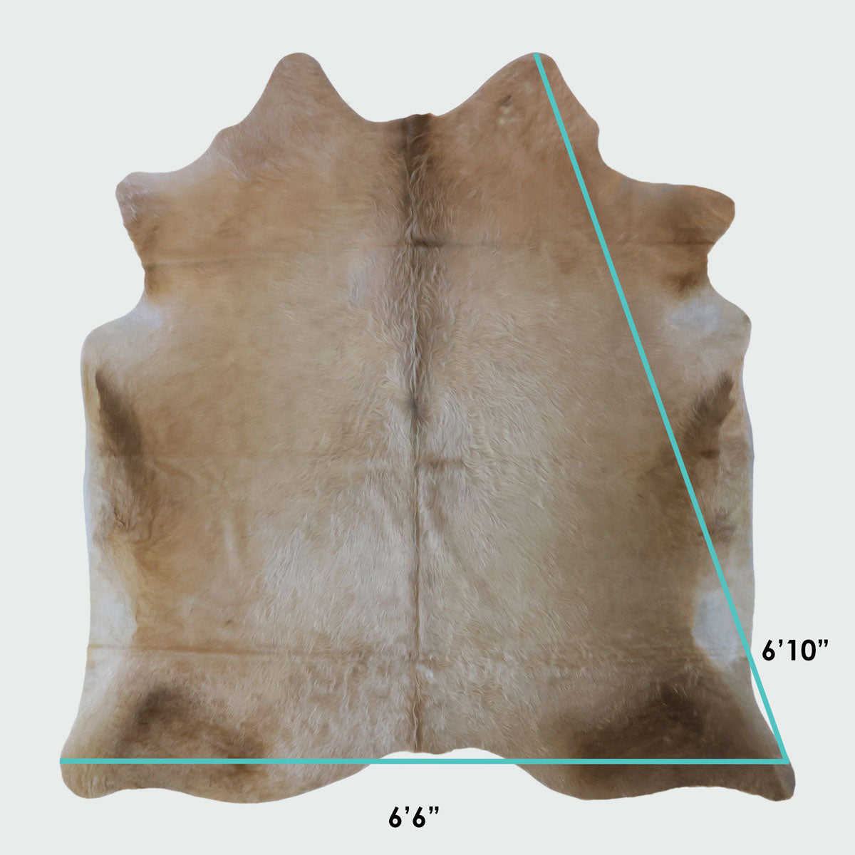 Natural Brazilian Cowhide Pattern 1147 (Golden Champagne)