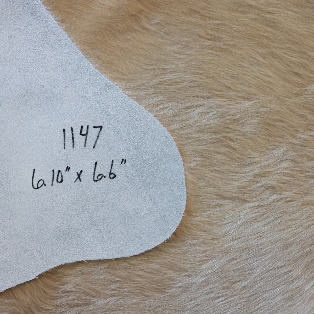 Natural Brazilian Cowhide Pattern 1147 (Golden Champagne)