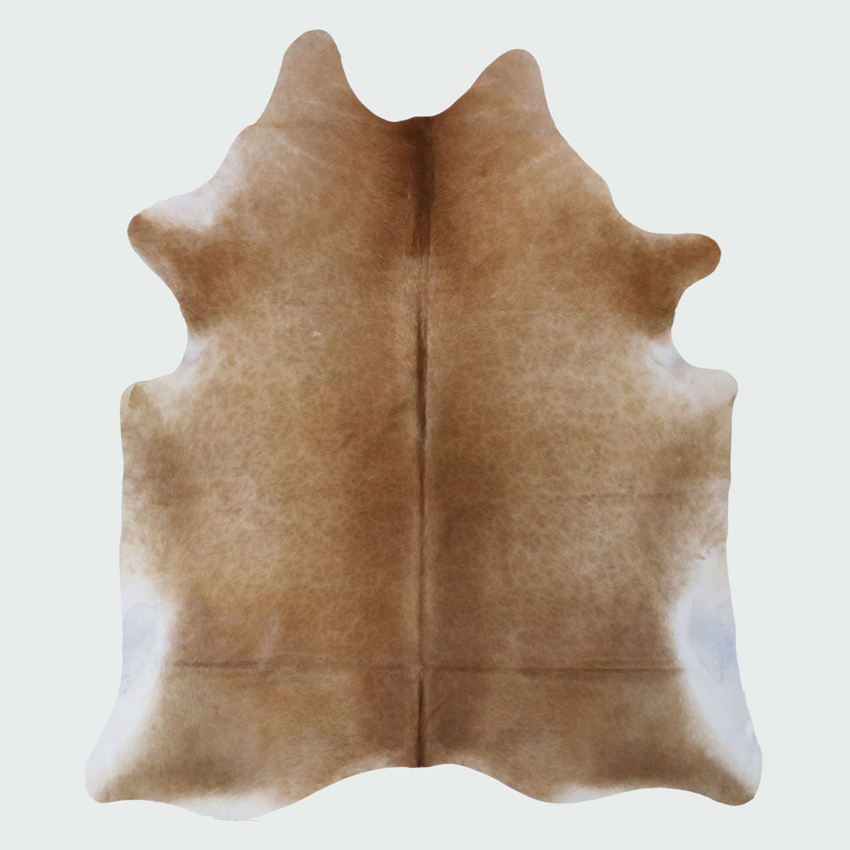 Natural Brazilian Cowhide Pattern 1148 (Golden Champagne)