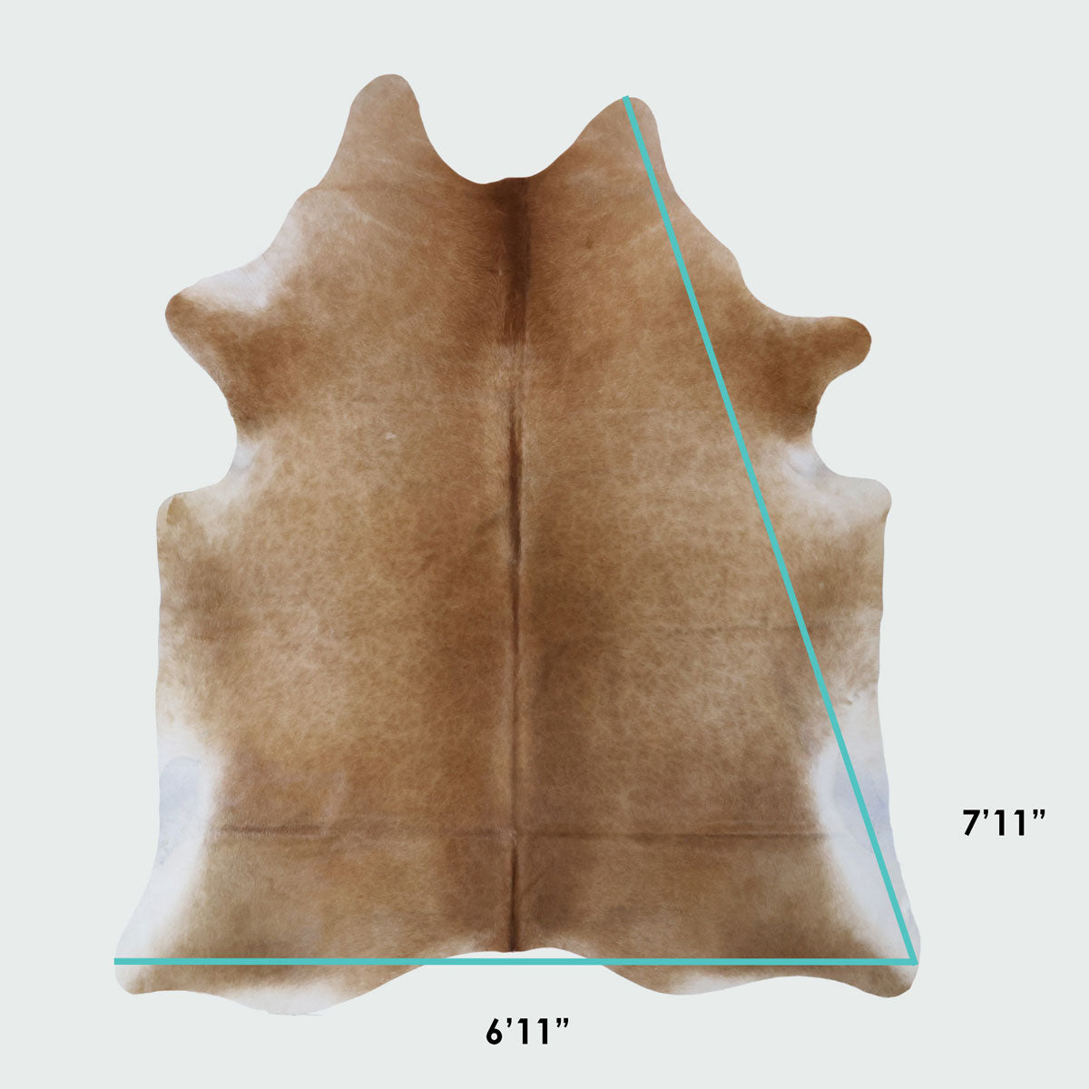 Natural Brazilian Cowhide Pattern 1148 (Golden Champagne)