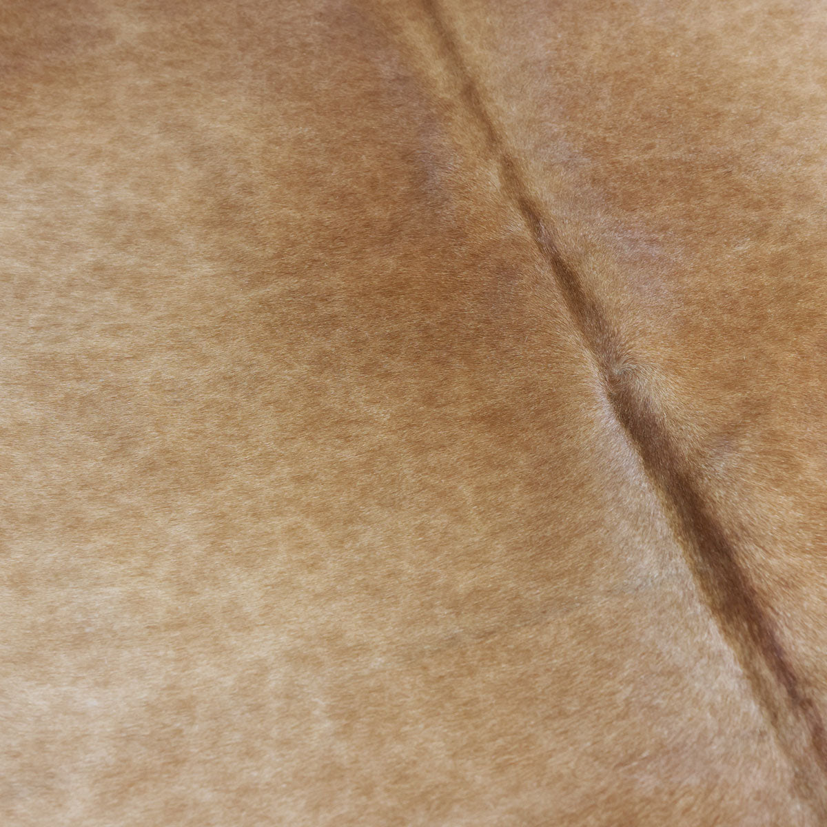 Natural Brazilian Cowhide Pattern 1148 (Golden Champagne)