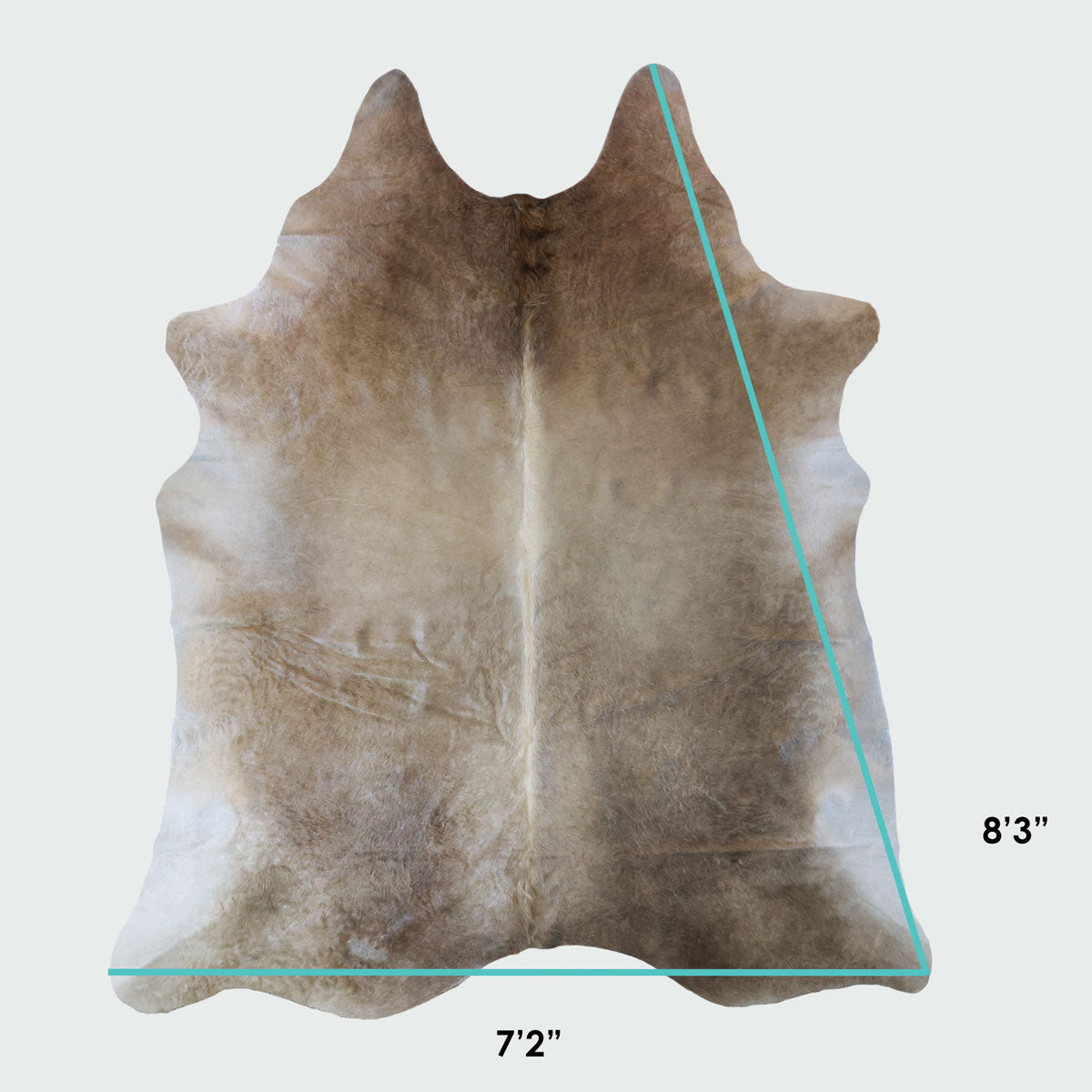 Natural Brazilian Cowhide Pattern 1149 (Golden Champagne)