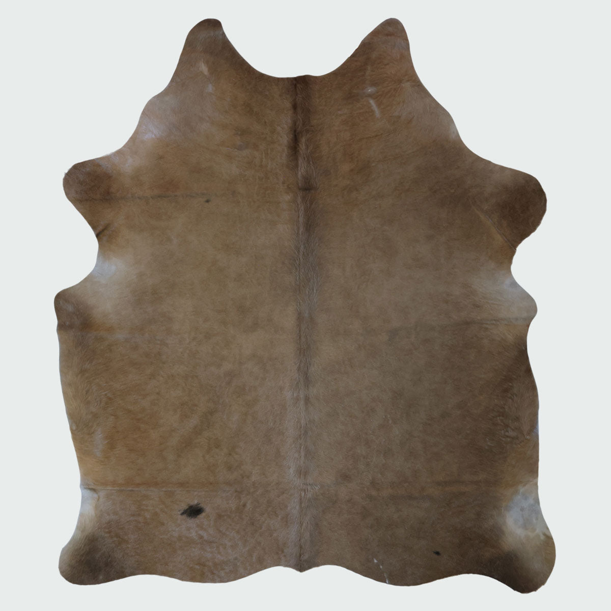 Natural Brazilian Cowhide Pattern 1150 (Golden Champagne)