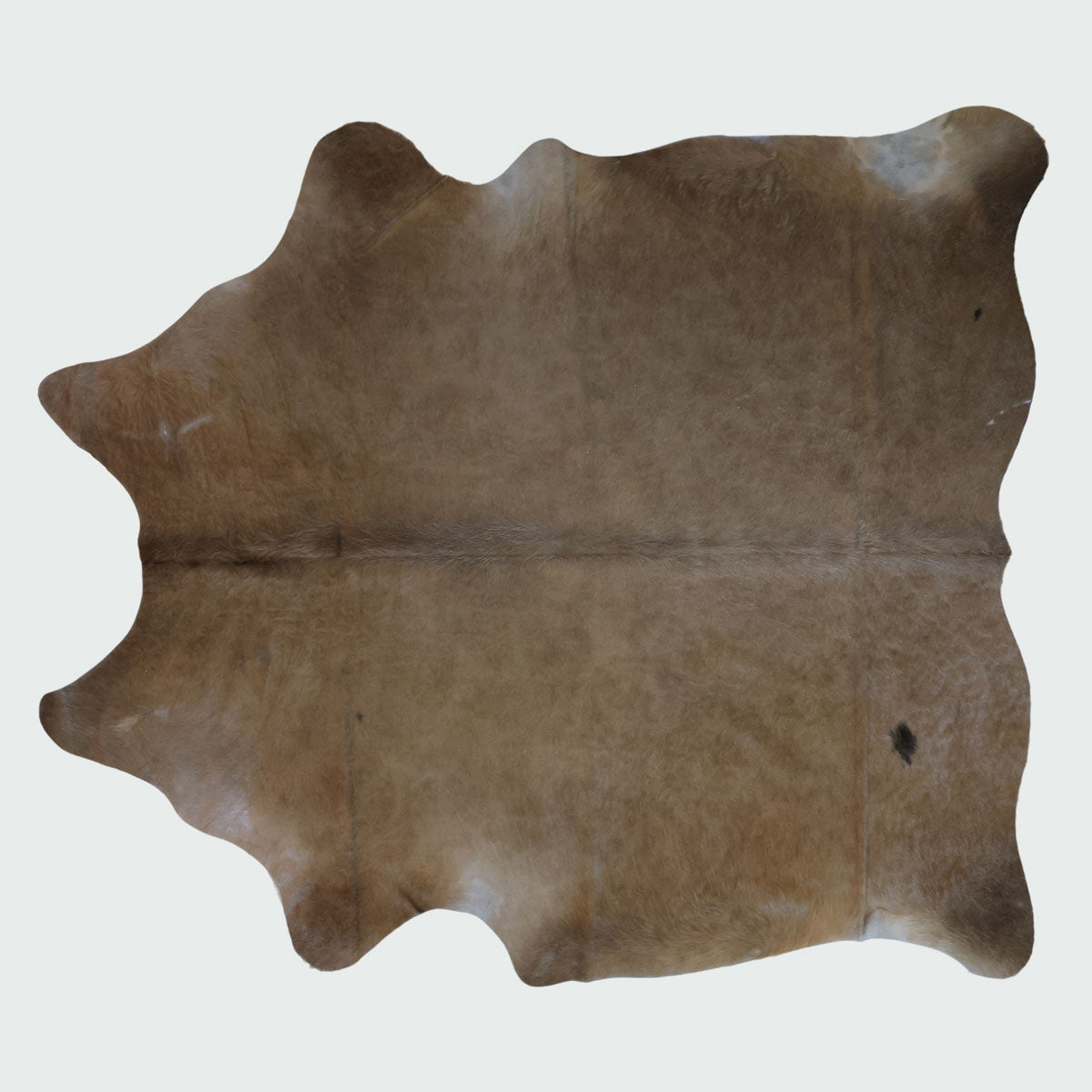 Natural Brazilian Cowhide Pattern 1150 (Golden Champagne)