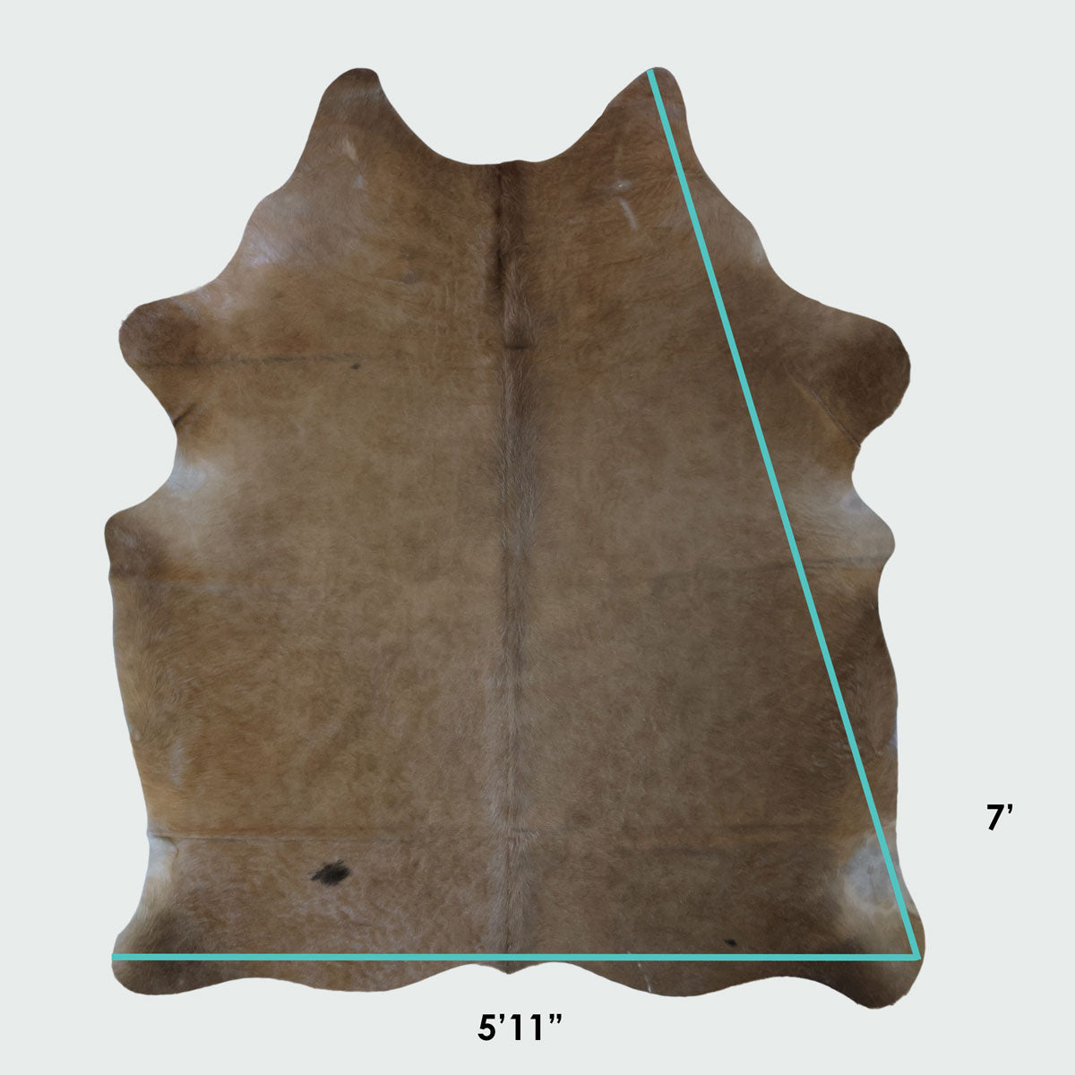 Natural Brazilian Cowhide Pattern 1150 (Golden Champagne)