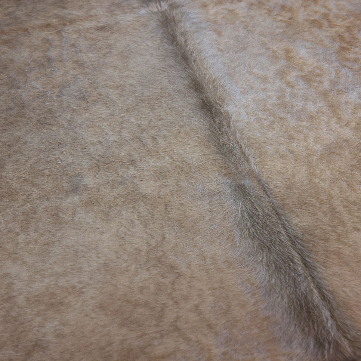Natural Brazilian Cowhide Pattern 1150 (Golden Champagne)