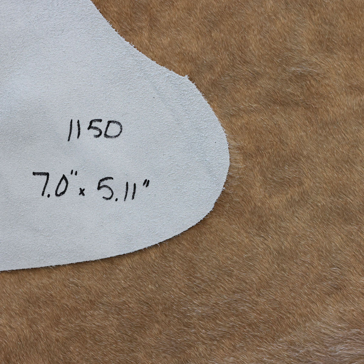 Natural Brazilian Cowhide Pattern 1150 (Golden Champagne)