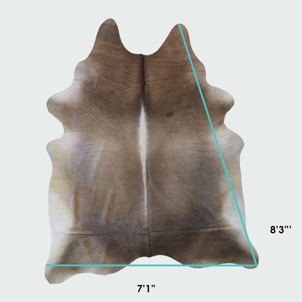 Natural Brazilian Cowhide Pattern 1151 (Golden Champagne)