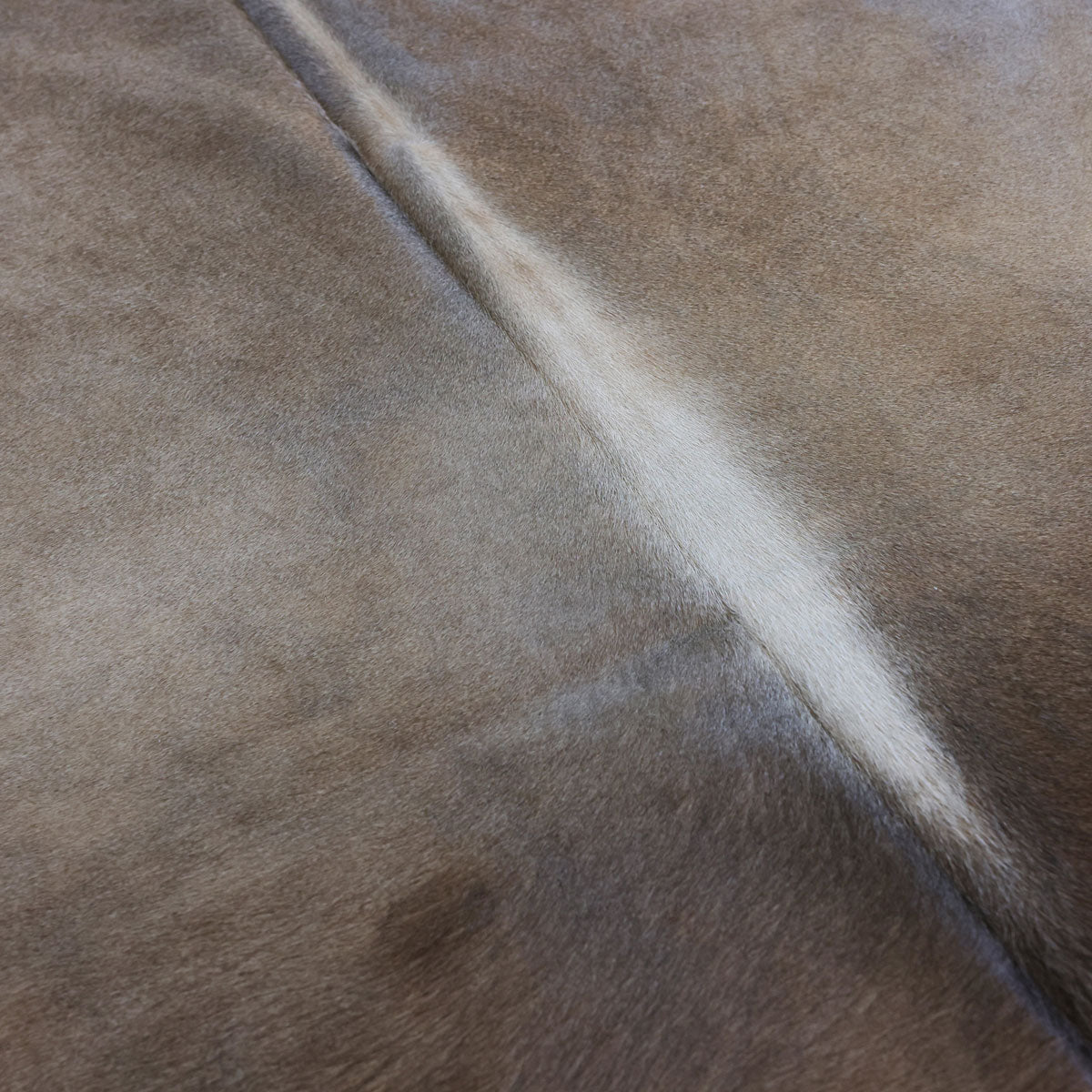 Natural Brazilian Cowhide Pattern 1151 (Golden Champagne)