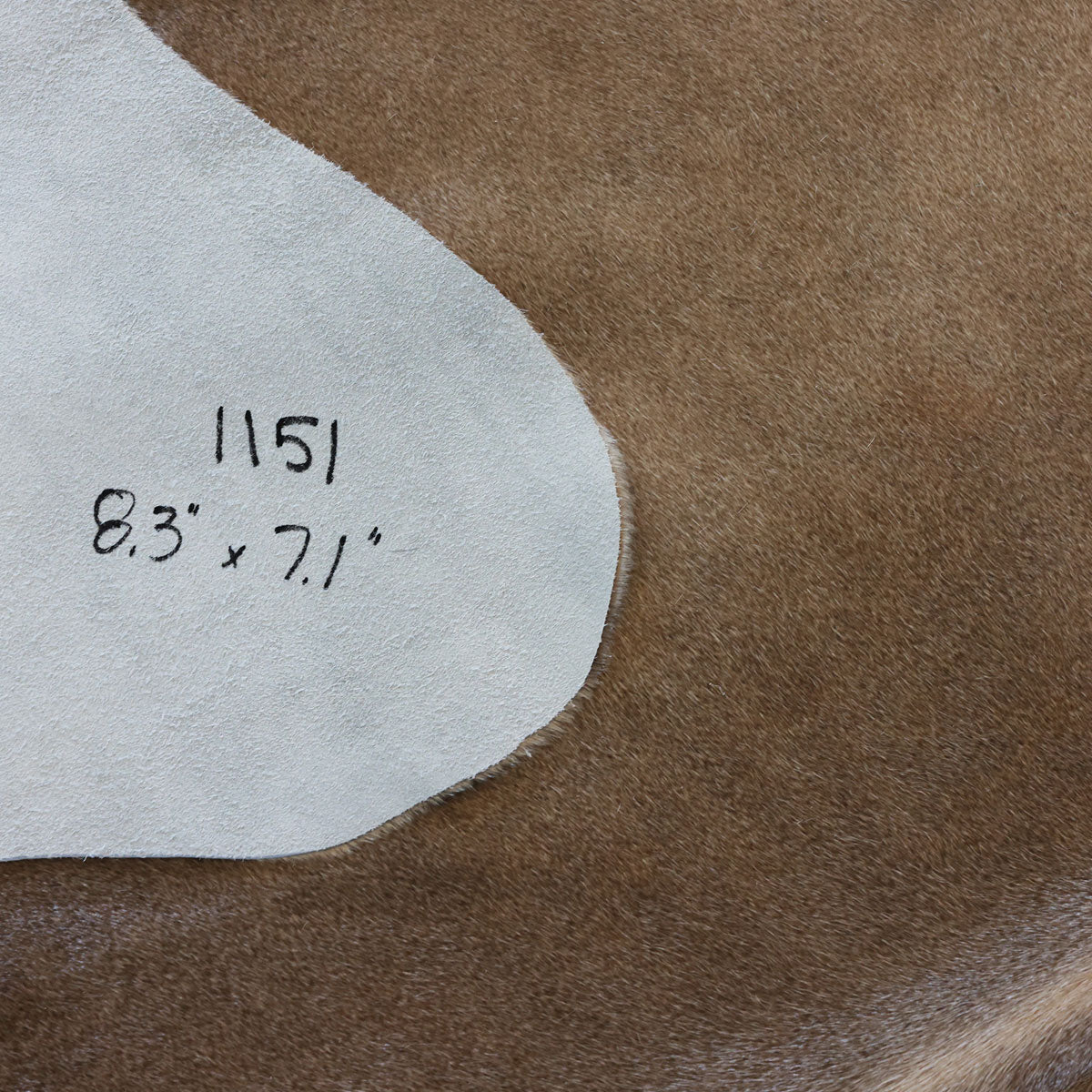Natural Brazilian Cowhide Pattern 1151 (Golden Champagne)