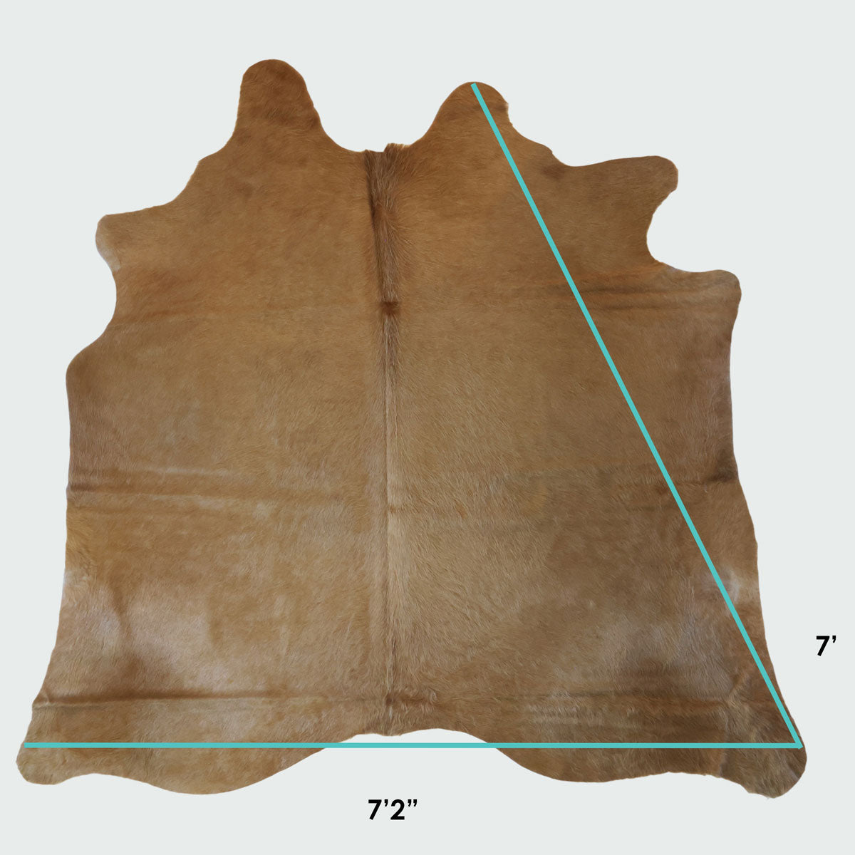 Natural Brazilian Cowhide Pattern 1152 (Golden Champagne)