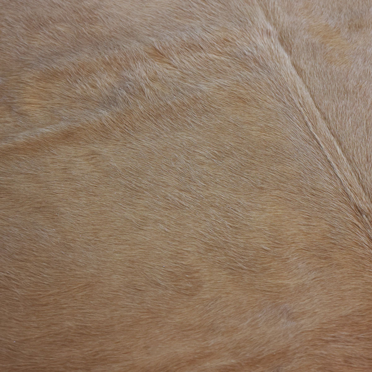 Natural Brazilian Cowhide Pattern 1152 (Golden Champagne)