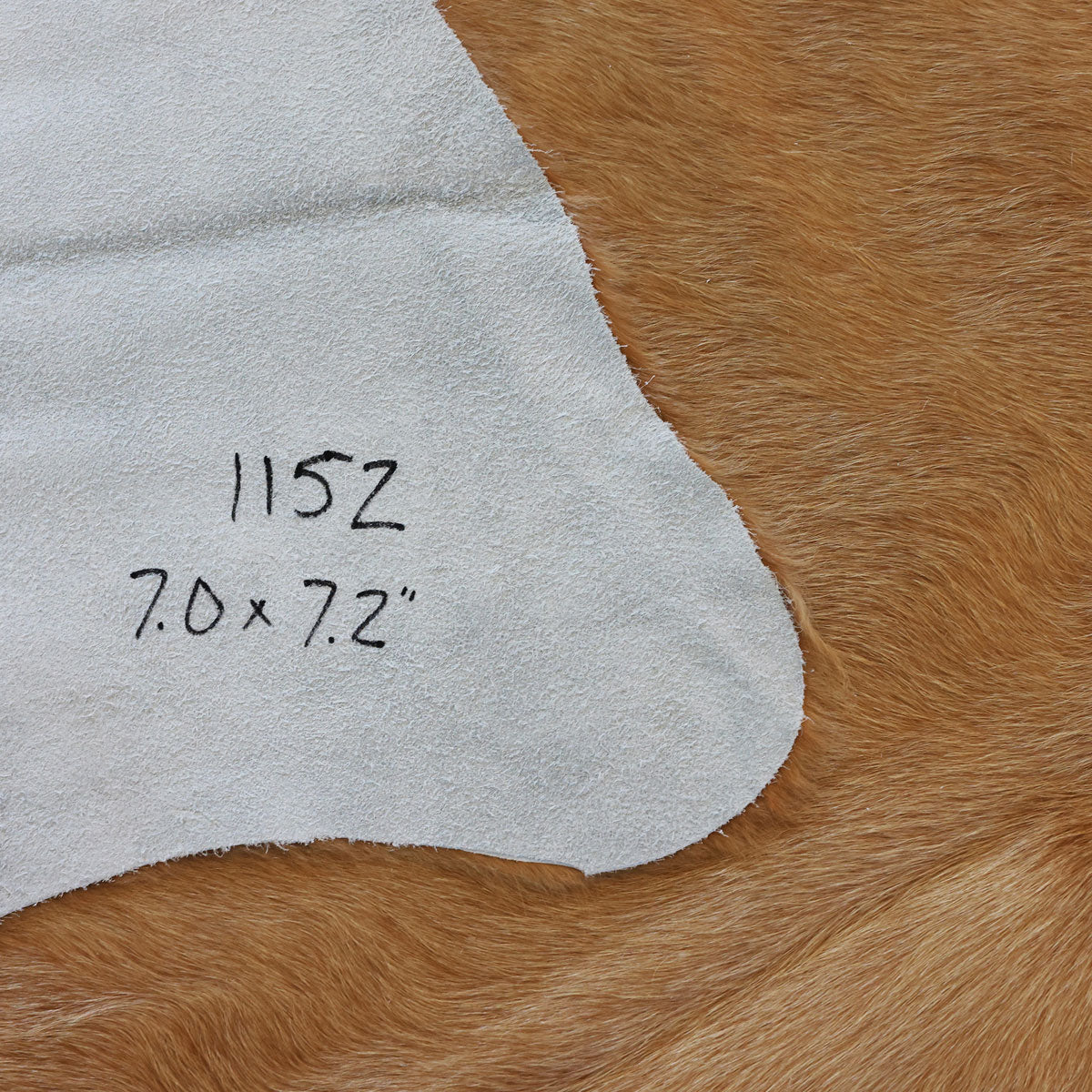 Natural Brazilian Cowhide Pattern 1152 (Golden Champagne)