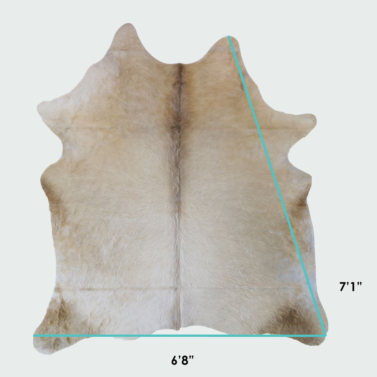 Natural Brazilian Cowhide Pattern 1153 (Golden Champagne)