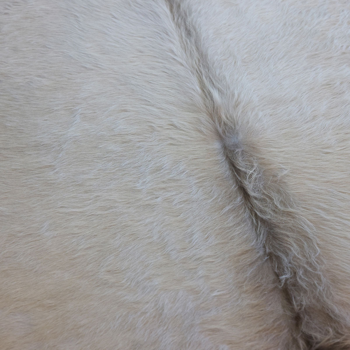 Natural Brazilian Cowhide Pattern 1153 (Golden Champagne)