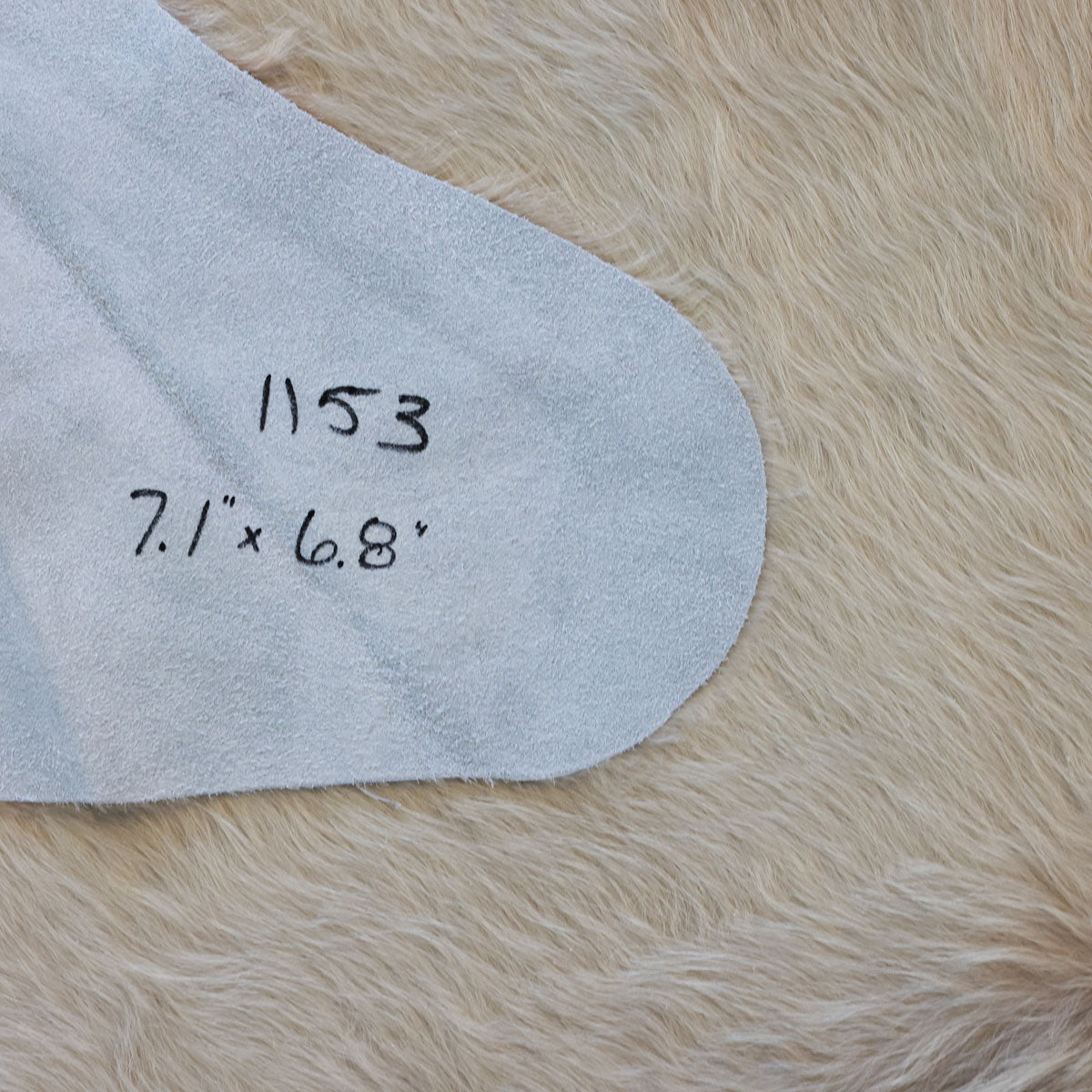 Natural Brazilian Cowhide Pattern 1153 (Golden Champagne)