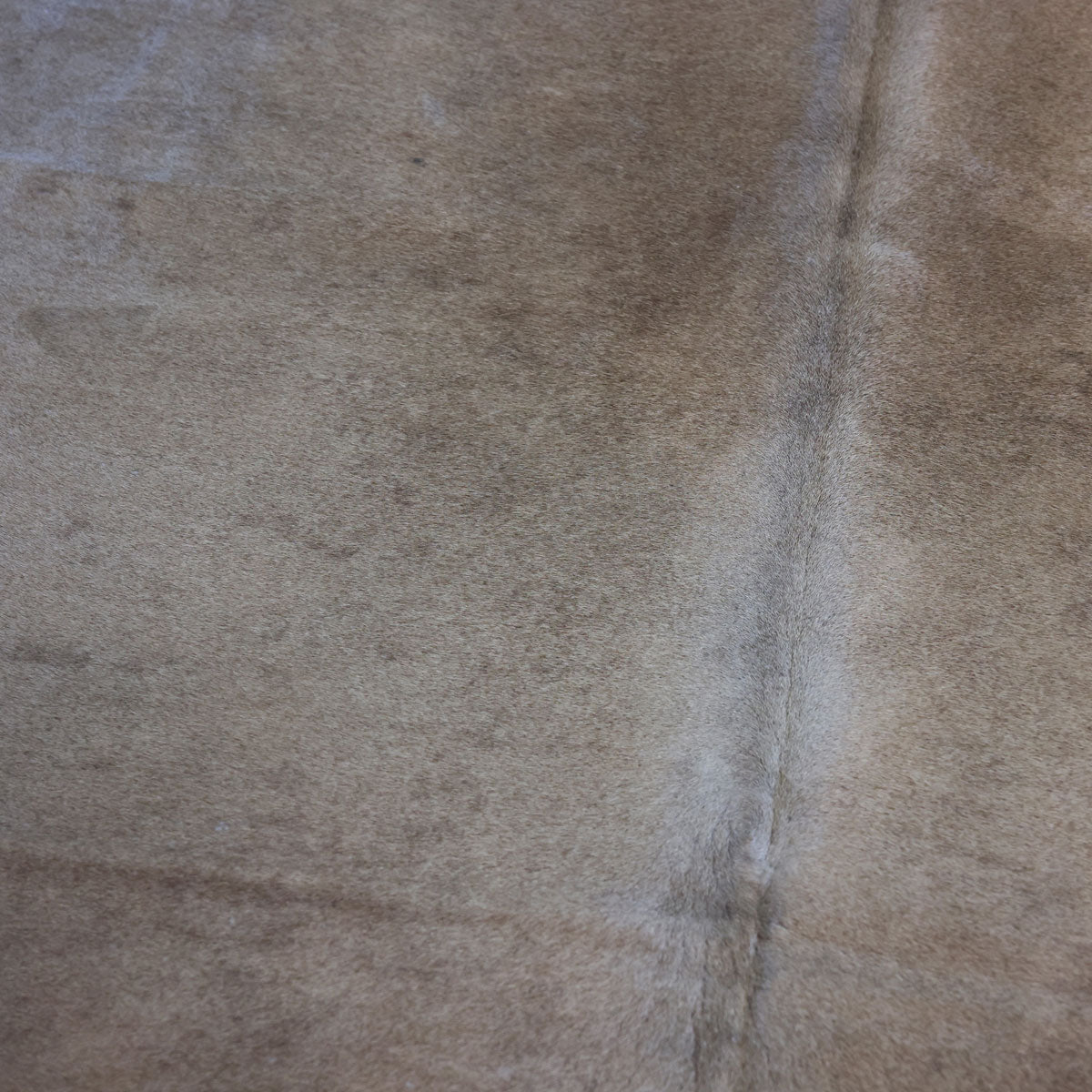 Natural Brazilian Cowhide Pattern 1154 (Golden Champagne)